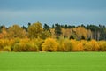 Autumn sky and clouds observing in Latvia