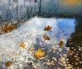 Autumn Sky reflection in puddle water asphalt after rain bubbles rainy season autumn leaves fall building reflection on water Royalty Free Stock Photo