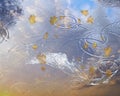 Autumn Sky reflection in puddle water asphalt after rain bubbles rainy season autumn leaves fall building reflection on water Royalty Free Stock Photo