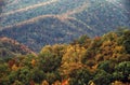 Autumn In the Smokies