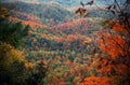 Autumn In the Smokies