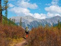 Autumn solo hike.  Lonely man walking in a mountain path. Autumn season. Active backpacker hiking in colorful nature.  Warm sunny Royalty Free Stock Photo