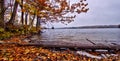 Autumn in Sorknatten Natural Reserve, Dalsland, Sweden