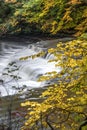 Autumn at South Chagrin Ohio