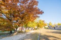 Autumn in South Korea