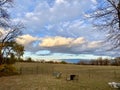 Autumn in southern central Manitoba