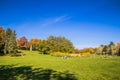 Autumn in Spa Gardens Oberlaa in Vienna