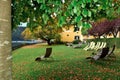 Autumn in the spa town of Millstatt am See, Austria