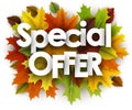 Autumn special offer background with leaves. Royalty Free Stock Photo