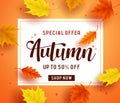 Autumn special offer banner template with white space for text Royalty Free Stock Photo