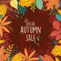 Autumn special sale poster with leaves Royalty Free Stock Photo