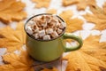 Autumn spiced hot drink with marshmallow on yellow golden leaves background