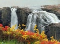 Autumn Splendor at  Great Falls National Park in Paterson, New Jersey Royalty Free Stock Photo