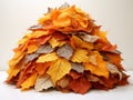Autumn Splendor: A Mesmerizing Pile of Leaves Against a Pure White Canvas