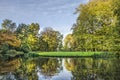 Autumn splendor in the park