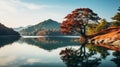 Autumn Splendor: Serene Hill With Vibrant Teak Trees And Reflecting Lake Royalty Free Stock Photo