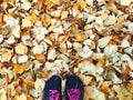 Autumn. Sports shoes sneakers gray colored against the background of autumn fallen leaves. You can see some of the