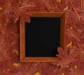 Autumn spring maple leaf frame red design retro season symbol decoration ornament happy halloween harvest forest background 31