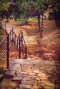 Autumn staircase with green trees and yellow leaves