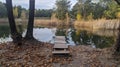 Autumn stairs in forest lake Royalty Free Stock Photo