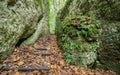 autumn stairs among the rocks 1