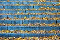 Autumn stairs