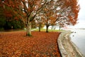 Autumn Of Stanley Park Royalty Free Stock Photo