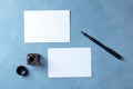 Autumn stationery minimalist mockup, overhead flat lay shot of two A5 cards with an ink pen and an ink well
