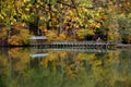 Autumn and Steele Creek Lake and Pavilion Royalty Free Stock Photo