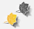 Autumn sticker realistic object shadow leaf set