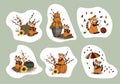 Autumn stickers. HELLO, AUTUMN. RED PANDA CHARACTER. CUTE FUNNY ANIMALS. Vector illustration