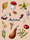 Autumn stickers with leaves, mushrooms, pumpkins. Royalty Free Stock Photo