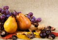 Autumn still life Royalty Free Stock Photo