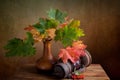 Autumn Still Life Royalty Free Stock Photo