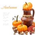 Autumn still-life Royalty Free Stock Photo