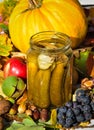 Autumn still life Royalty Free Stock Photo