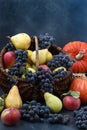 Autumn still life with apples, grapes, pumpkin and pears located on a dark background, Autumn harvest, Apples, pears and grapes in Royalty Free Stock Photo