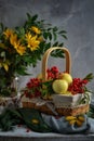 Autumn still life apples and rowan Royalty Free Stock Photo