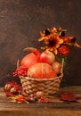 Autumn still life with apples, rowan berries, pumpkins, sunflower flowers on an old wooden table, background, Thanksgiving concept Royalty Free Stock Photo