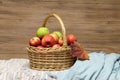 Autumn still life with beautiful ripe apples Royalty Free Stock Photo