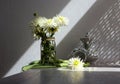 Autumn still life: a bouquet of white dahlias on a green scarf, an alarm clock and a kettle nearby, the rays of the sun, a gray Royalty Free Stock Photo