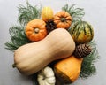 Autumn still life with butternut squash, little pumpkins and pine cones