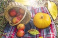 Autumn still life with checkered plaid, wicker basket, apples, pumpkin. Romantic autumn picnic lunch outdoors. Thanksgiving day Royalty Free Stock Photo