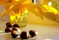 Autumn still life with chestnuts and yellow leaves Royalty Free Stock Photo