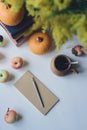 Autumn still life with closed notebook with pencil, books, pumpkins, apple, cup, bouquet Royalty Free Stock Photo