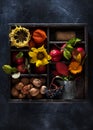 still life collage with flowers of sunflower in a wooden vintage box Royalty Free Stock Photo