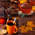 Autumn still life collage. Royalty Free Stock Photo