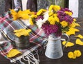 Autumn still life with colorful bouquet of chrysanthemum flowers in vintage vase, vintage cup, yellow autumn leaves, woolen scarf