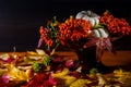 Autumn still life with colorful leaves and autumn deco fruits on black background Royalty Free Stock Photo