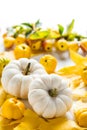Autumn still life with colorful leaves, autumn deco fruits and white pumpkins Royalty Free Stock Photo